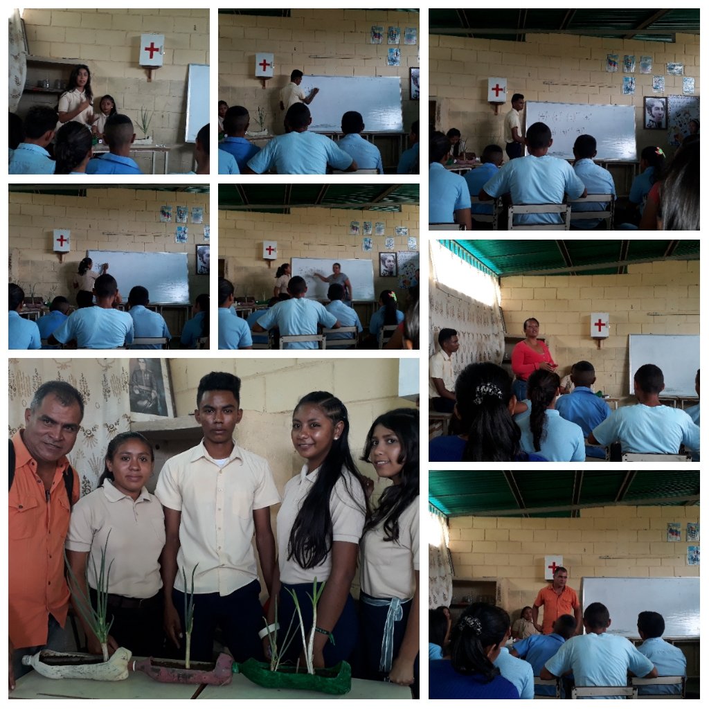 U.E. El Rosario tweet media