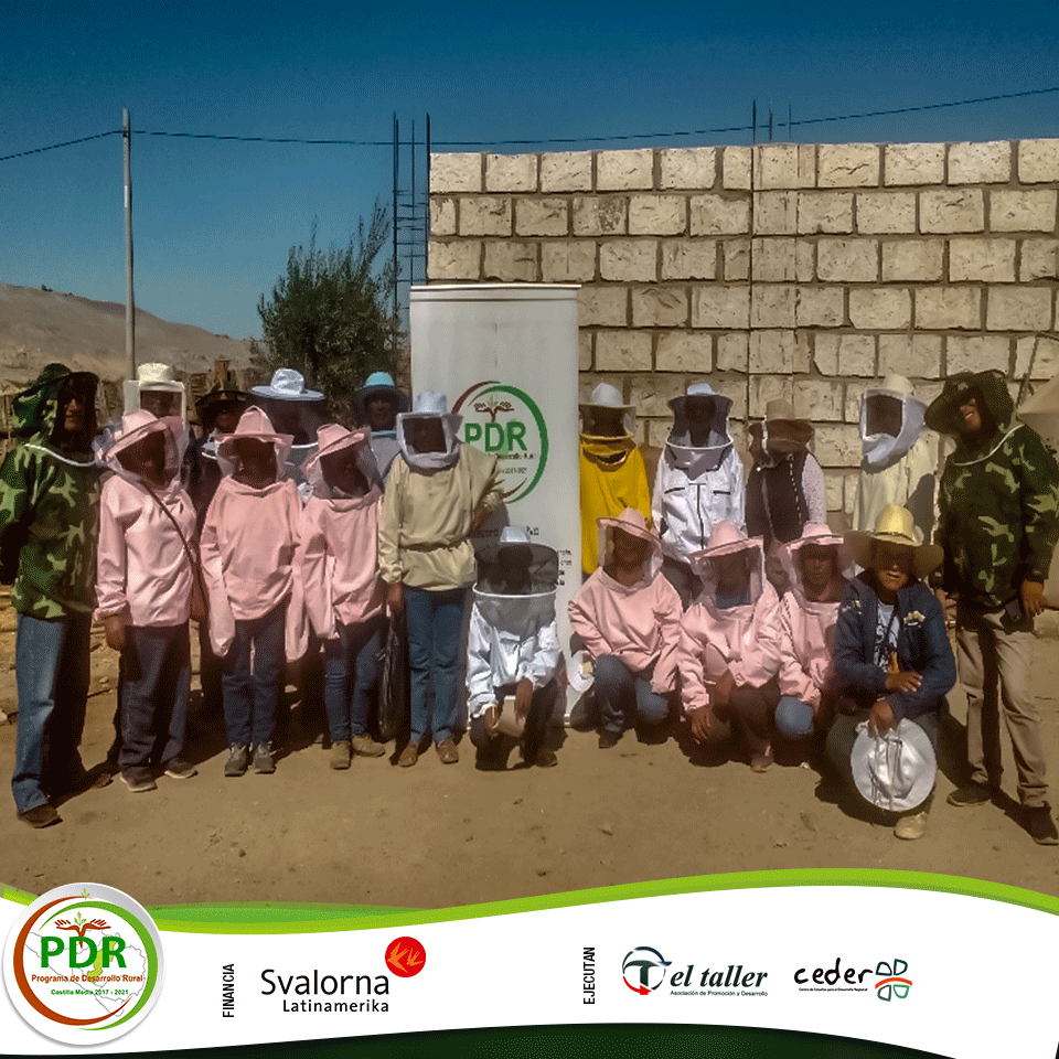 ArequipaPdr's tweet image. Con el fin de fortalecer las capacidades de los apicultores de #Viraco y #Machaguay, el #PDR realizó un intercambio de experiencias en La Joya y Vítor donde visitaron emprendimientos en el manejo y producción de apicultura y conocieron módulos de producción de abejas reinas.