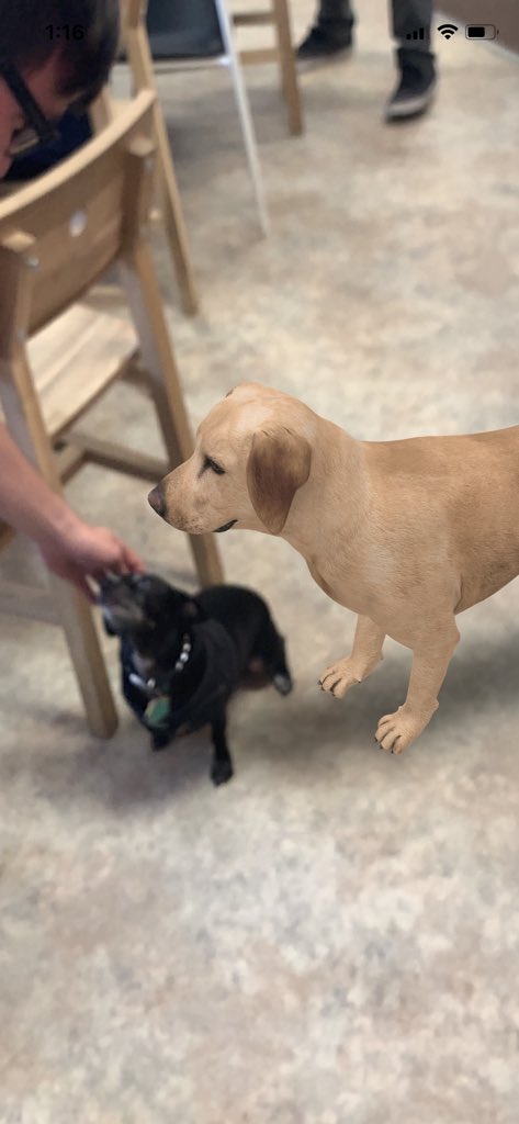 Google "dog". Scroll down to "View in 3d".... then choose AR. 

Congrats!! You now live in the future!