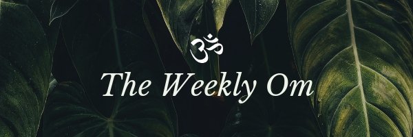The Weekly Om - mailchi.mp/a88ece2dd9f8/t…