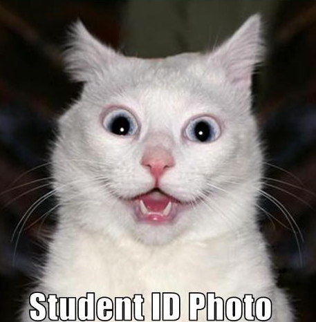 BG1Plus's tweet photo. If you are afraid that you may end up like this on your BG1 Card photo, go ahead and submit your photo online on our website, https://t.co/sYqEGufmsO. Be sure to follow the guidelines though! https://t.co/i9Bc6M2jol