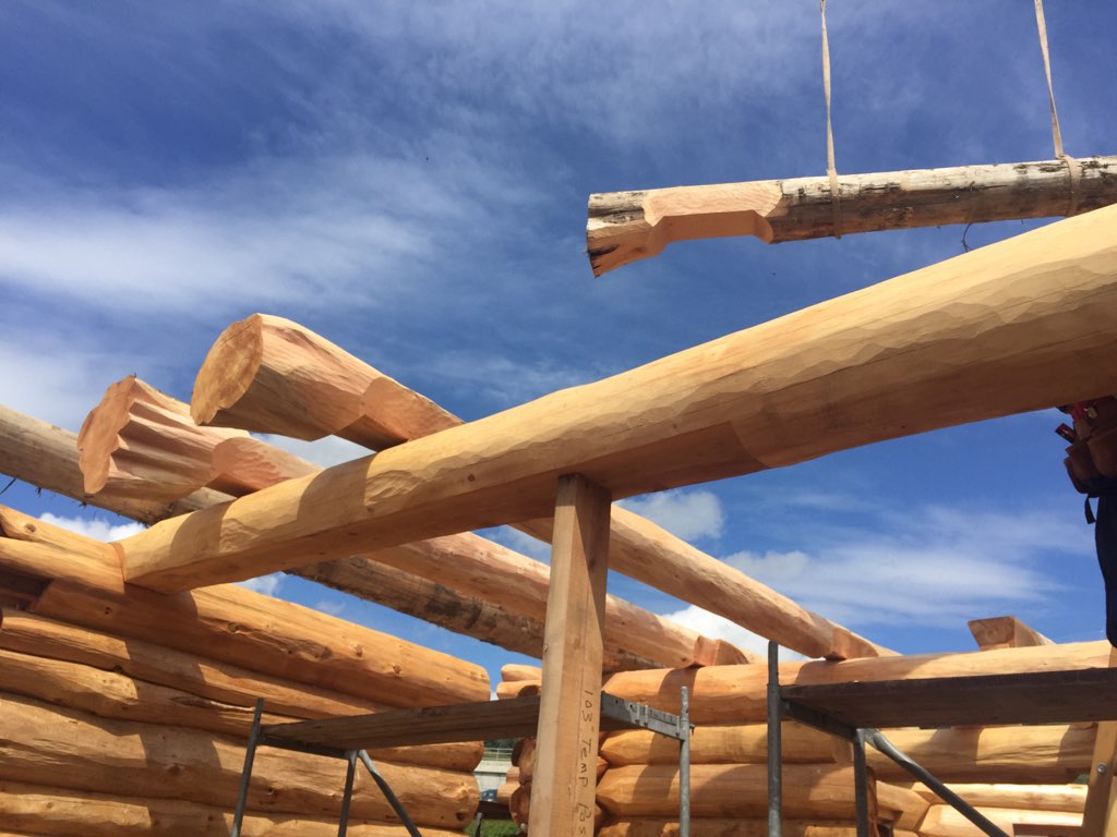 tk_brad85's tweet photo. Floor joists going in! @PioneerLogHomes 
#timberkings #finestloghomesonearth #madeinbc https://t.co/ADPoNuWbQr