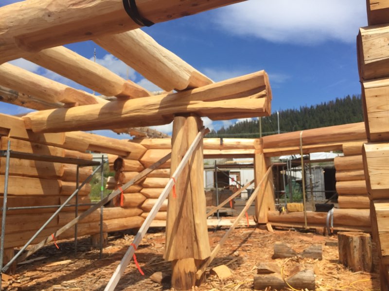 tk_brad85's tweet photo. Floor joists going in! @PioneerLogHomes 
#timberkings #finestloghomesonearth #madeinbc https://t.co/ADPoNuWbQr