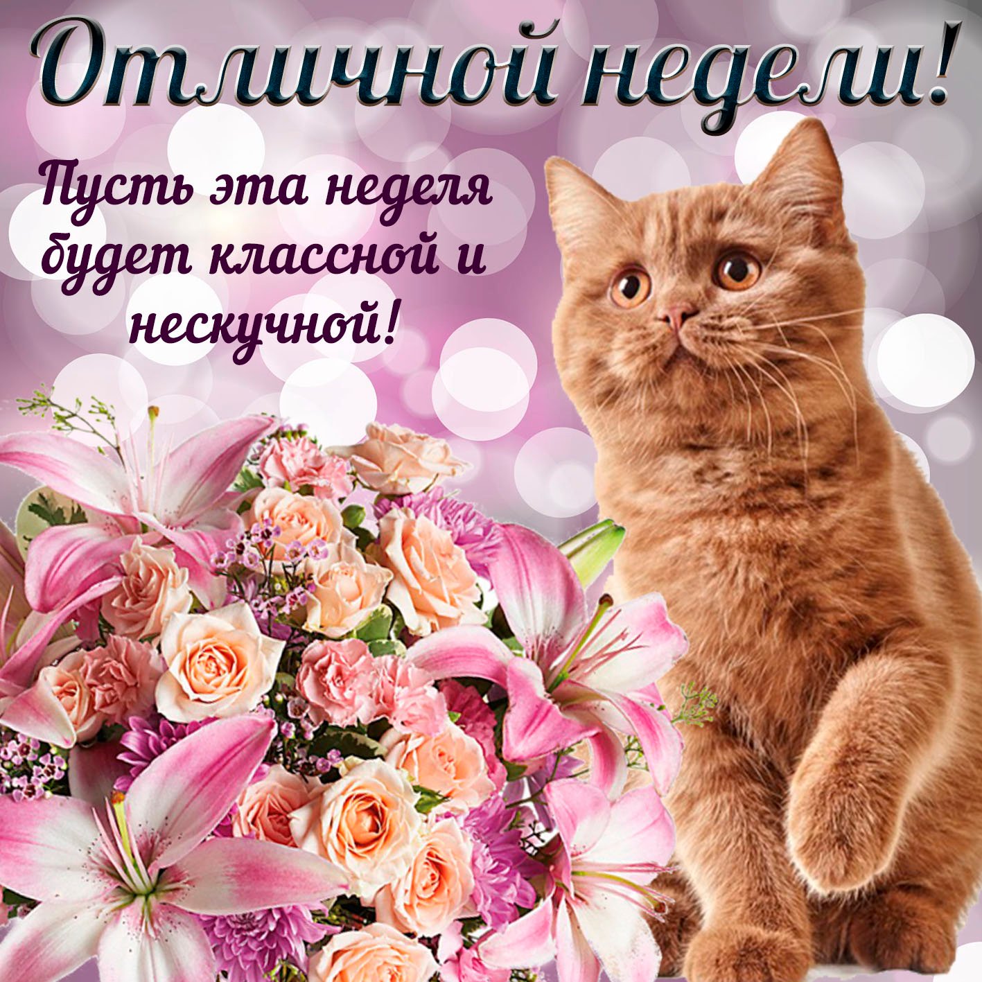 ������� ������� ������ �������� � ��������