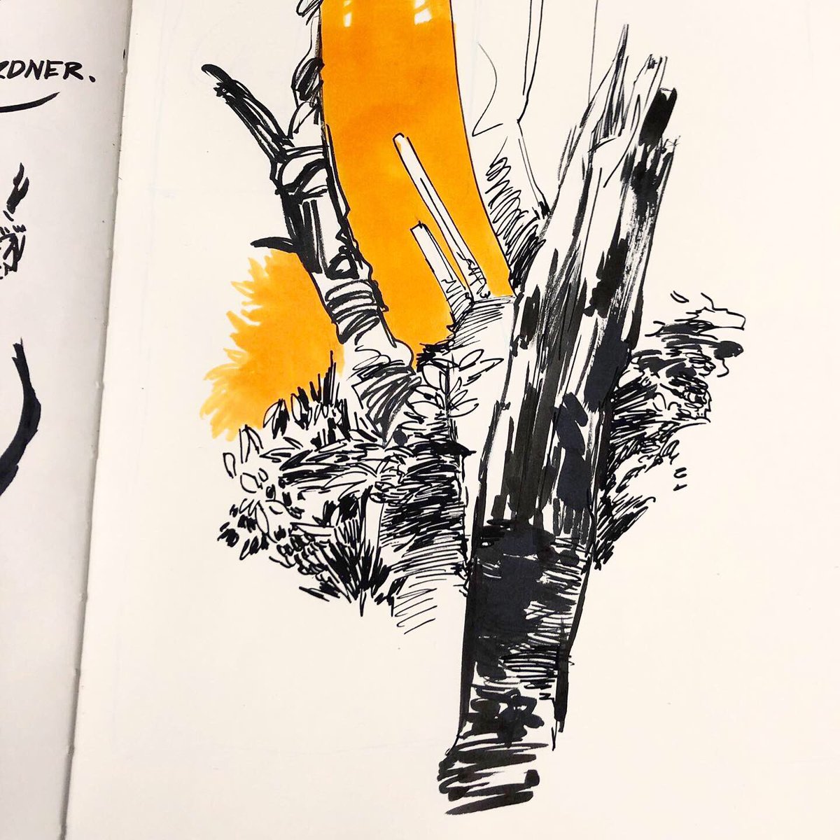 I'm a goof and forgot to mention that I love sketching/journaling! #PortofolioDay