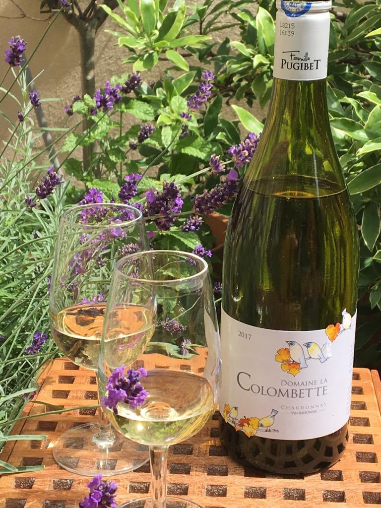 NothingButGrape's tweet image. Enjoying a glass of @LaColombette Chardonnay in the garden. #NothingButTheGrape #Chardonnay #Garden #Lavender #SummerDrinks #SunshineWine #TableForTwo #PotGarden #OrganicWine #WhiteWine 👉visit our website nothingbutthegrape.com