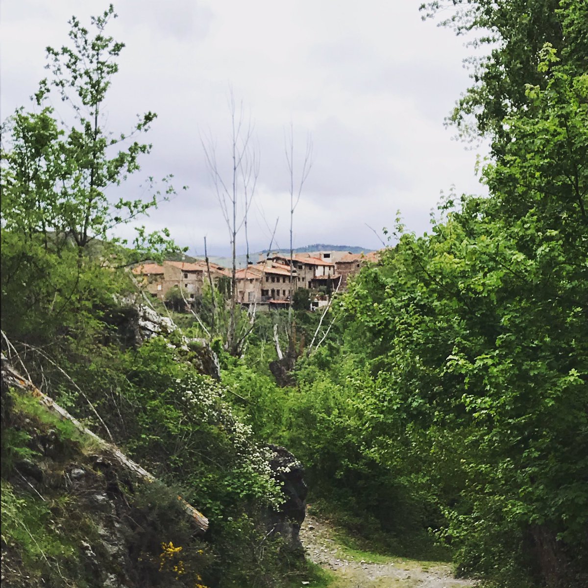 TrailNutrium's tweet photo. #SanVicenteDeRobres primera población que atraviesa el #TNM , 21 habitantes... y 12 se han presentado de voluntarios!!! Más de la mitad de la población!!!
Ni #maratondevalencia puede decir lo mismo.
Gracias!!
#lariojaapetece #trail #trailrun #run #pueblosconencanto #trailnutrium https://t.co/CxJPLa5nKm