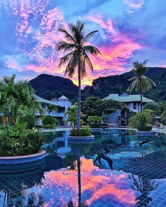 PerttuPaakkola's tweet photo. How would you rate this sunset? 😍 The c o l o u r s ✨
.
.
Follow 👉 @travel.bigtime
Follow 👉 @travel.bigtime
.
.
📸 @travellersplanet
.
.
#phiphiisland #phiphi #phiphiislands #phiphileh #luxurytravel #luxerylifestyle #hotelierslife #executivetravel #instagramso #starhotel… https://t.co/JIGAE7411T