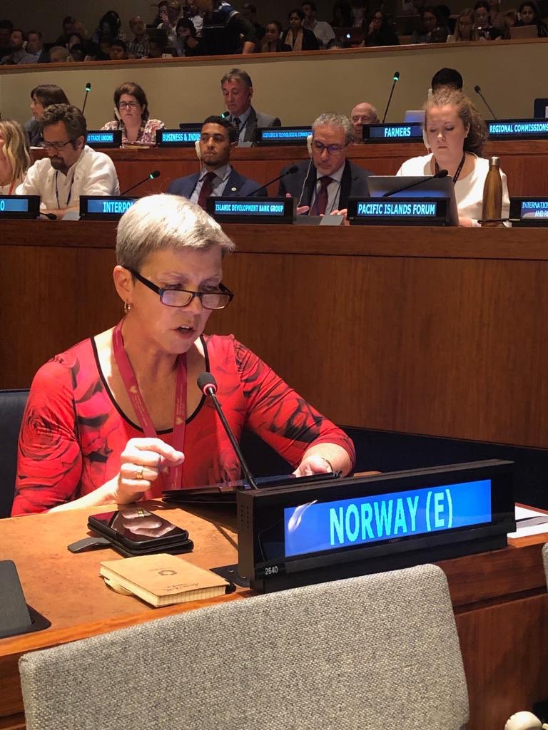 LO_klima's tweet photo. #HLPF2019 Honoured to deliver Norway's statement on SDG 8 "Decent Work &amp; Economic Growth" in UN today, highlighting #JustTransition,  #ParisAgreement on Climate and #LabourRights ⁦@NorwayUN⁩ ⁦@lonorge⁩ ⁦@ituc⁩ https://t.co/5agEmnaqBt