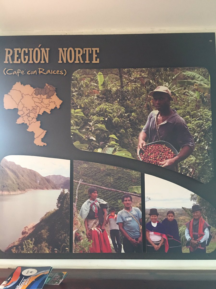 gdrscholars's tweet photo. We love learning new facts! RT @papabloortega1: Nowadays, Cauca is the top coffee production region in Colombia. Coffee is a pivotal economic sector and developing factor in post-conflict Cauca.
#gdrscholars #gdrscholarcolombia https://t.co/lmSGfOQ9lW