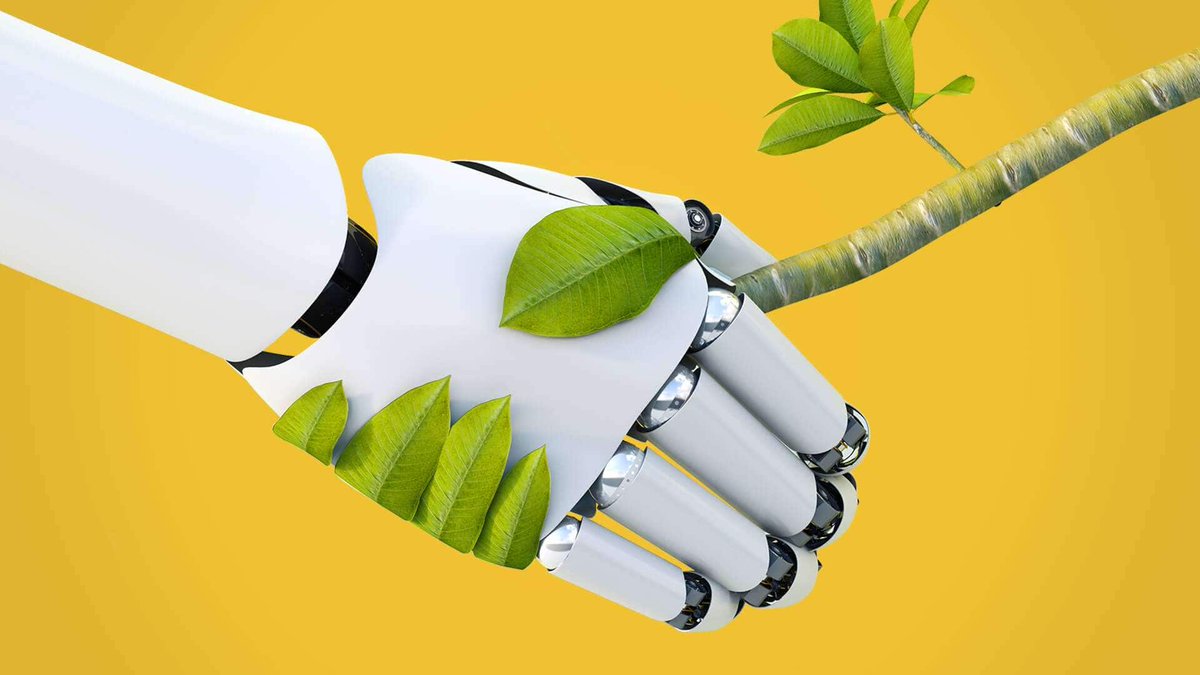 BiomimExpo's tweet photo. #Biomimicry &amp; System Design: #Networks as a survival strategy https://t.co/aU9lZ9eaPv  v/@merckgroup @ArndtPechstein @BiomimAcademy #nature #biodiversity #innovation https://t.co/GDDNuDscUq