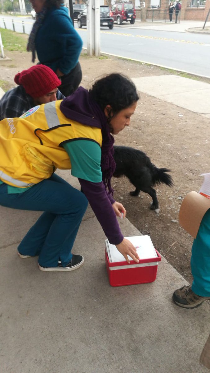 rodolfocarter's tweet photo. Ya repusimos la casita en Diego Portales. Fuimos junto a una veterinaria y vacunamos a un perro del sector. Cumplimos con lo prometido y espero que todos sepan que los animales y el cuidado de ellos ha sido y será siempre parte importante de mi gestión. https://t.co/8TBnwyunHu