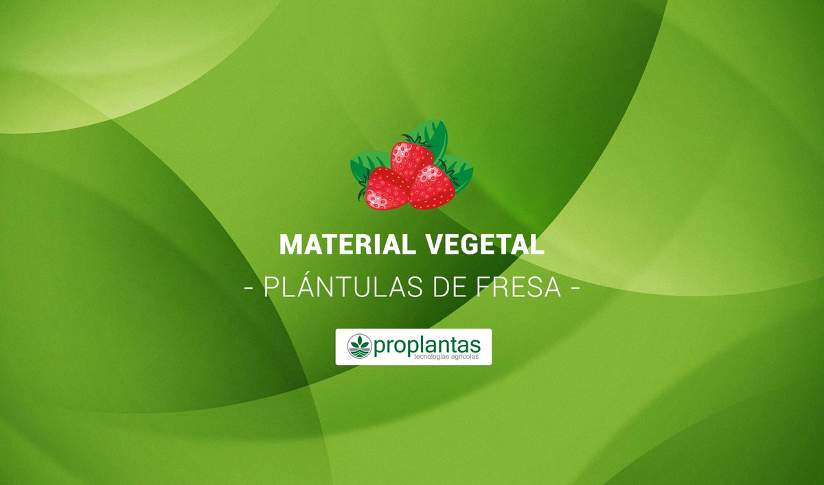 Proplantas tweet media