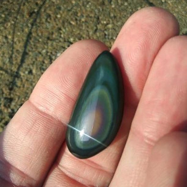 TheCabKing's tweet photo. Checkout these beautiful cabs @tiedyeartist made with the #cabking cabbing machine! π
β’ Rainbow obsidian
β’ Morgan Hill Poppy Jasper and Stony Creek Poppy Jasper
β’ Banded agate
β’ Gem silica
#cabochon #cabbing #lapidaryartist #jewelrymaker https://t.co/6FjpZjn04N