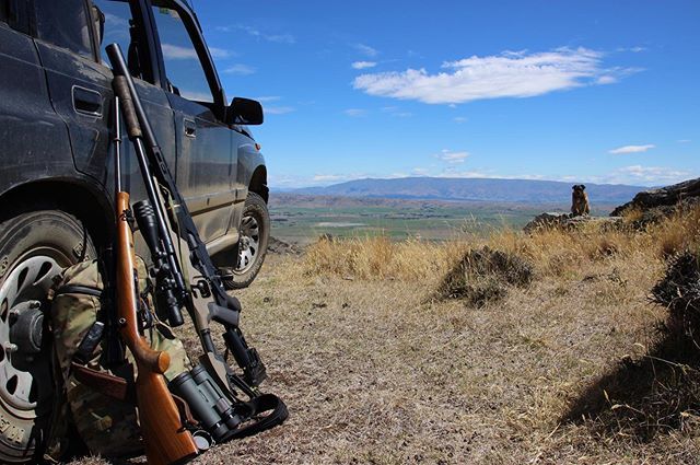 JSilkstone's tweet image. My line editor is working through the final pass of Exodus. So it’s off to the hills for me. #hunting #huntingwithdogs #huntingwithhounds #outdoorswithdogs #dogsmakemehappy #dogsmakeeverythingbetter