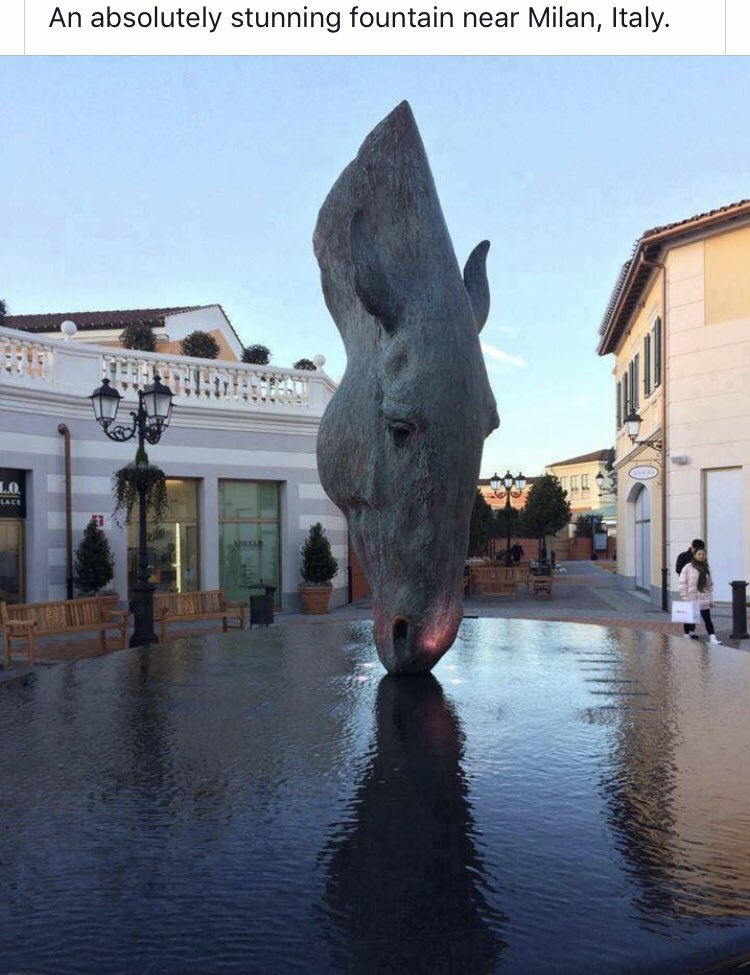 Purehorsebedding (@purehorsebeddi1) on Twitter photo 