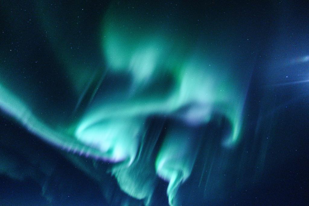 Last night, our flight to study a supernova 💥 and the center of our Mily Way Galaxy 🌌 brought us so far south that we spotted another spectacular display: 

The southern lights, or aurora australis!

Learn more about auoras: go.nasa.gov/2S7OPpK