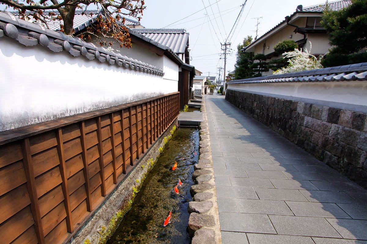 AestheticsJapan's tweet photo. Drainage Canals in Japan are so clean they have Koi Fish in it https://t.co/70YpapXzqP