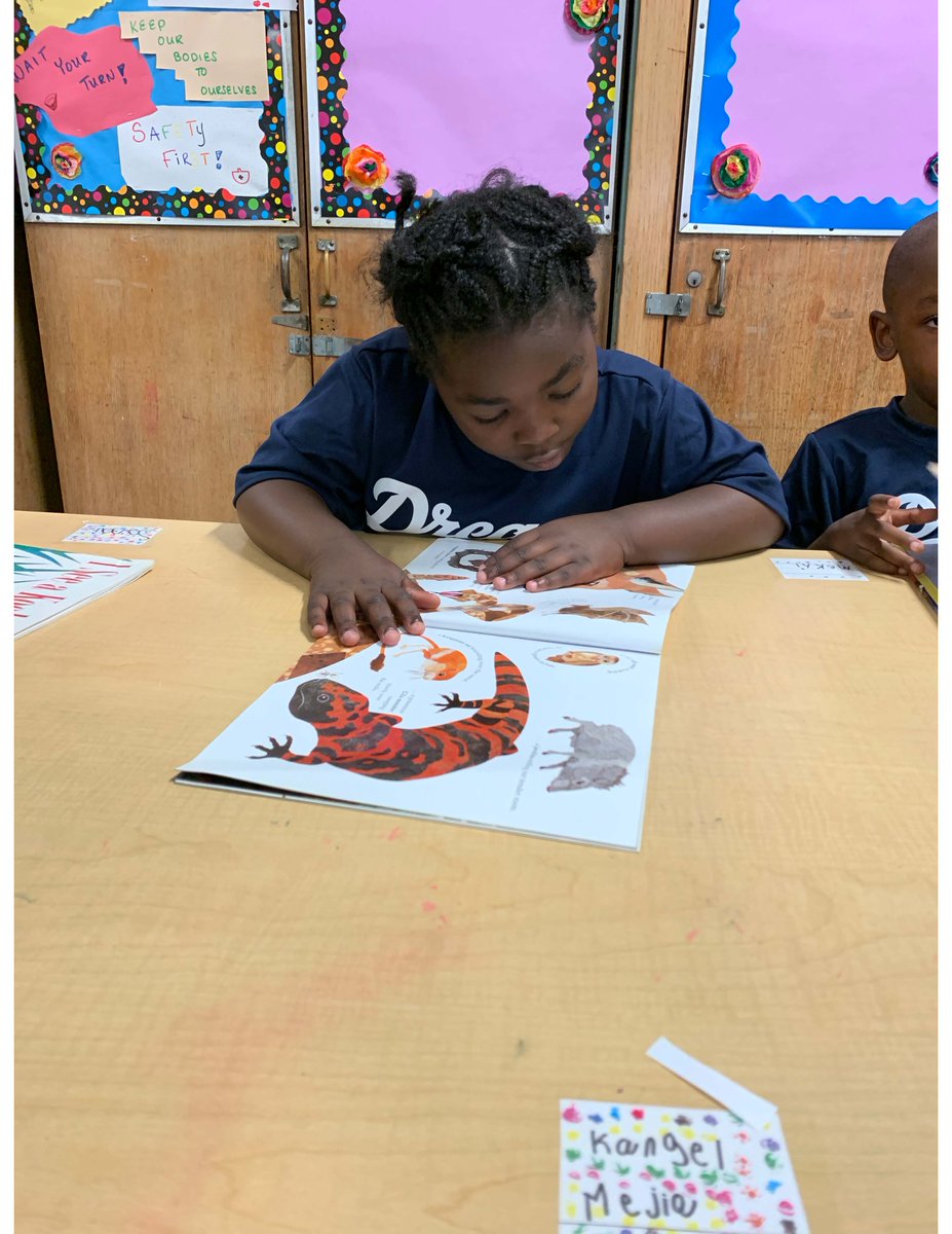 wearedream's tweet image. Did you know it&apos;s #NationalSummerLearningWeek? We&apos;re really excited to be learning about animals!