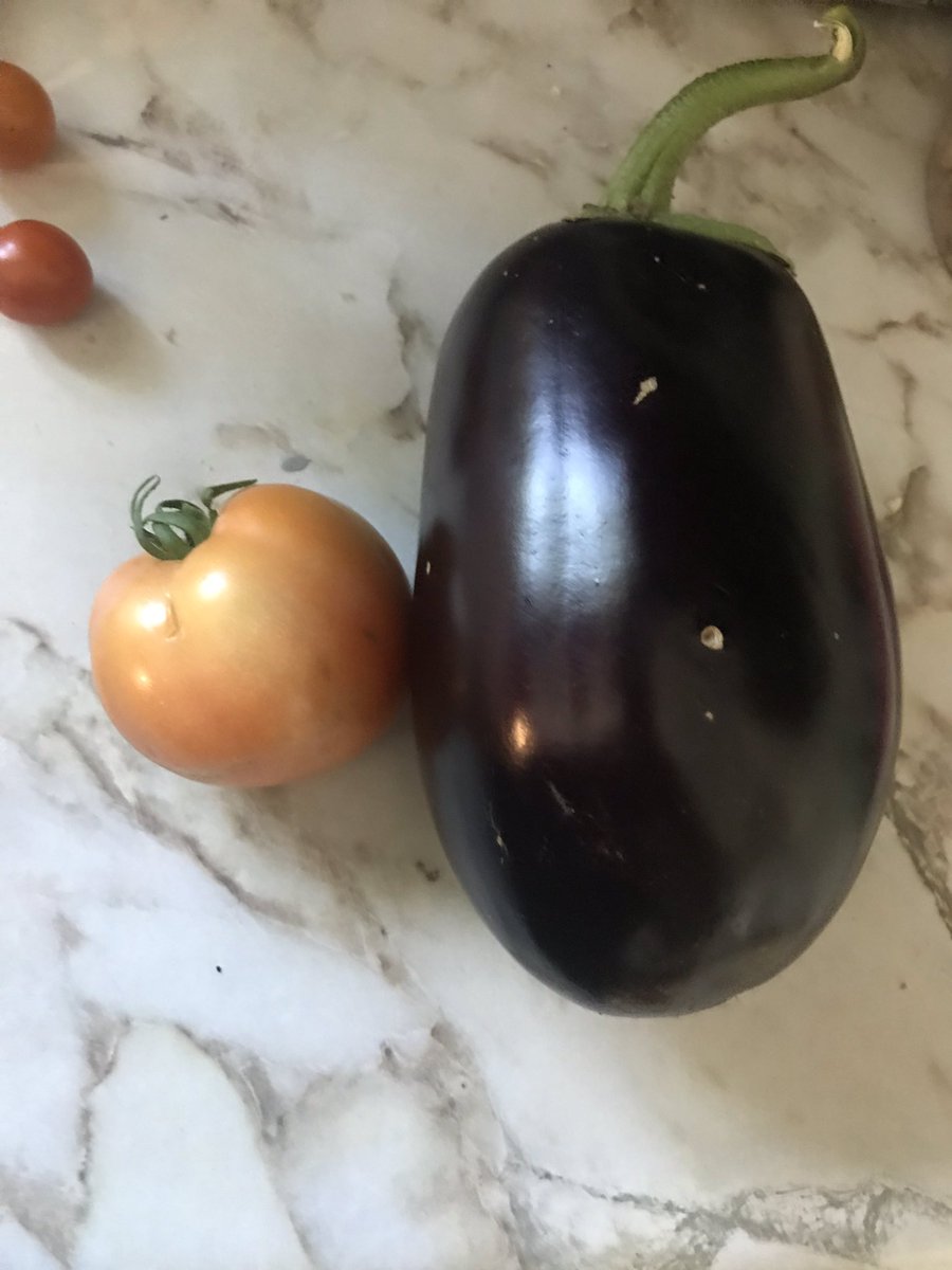 MiamiCountyLive's tweet photo. Fresh from the garden! There is nothing better than growing your own food! https://t.co/gy87zlhKrw