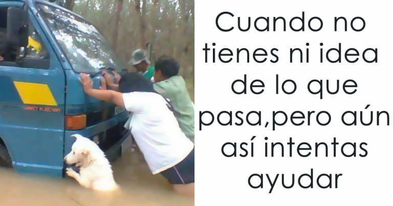- Cuando no tienes ni idea de que pasa
 pero aun así trata de ayudar!