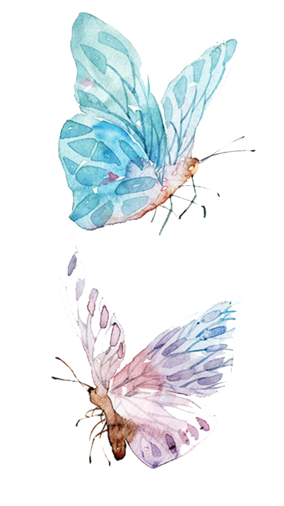 freepngclipart's tweet image. New PNG Today - Watercolor Butterfly Paper Painting Drawing Free PNG HQ #encapsulatedpostscript #aquatint #graphicdesign #insect #writing #arthropod #png  freepngclipart.com/free-png/70824…
