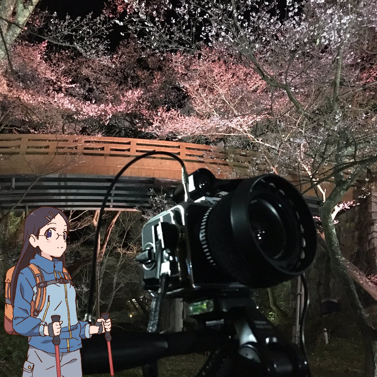 cm_tt's tweet photo. ハッセルブラッドSWCが家にあると、ちょっと嫌なことがあっても「まあ家に帰ればSWCあるしな」ってなるし仕事でむかつく人に会っても「そんな口きいていいのか？私は山でビオゴン様とよろしくやってる身だぞ」ってなれる。戦闘力を求められる現代社会においてSWCビオゴン様と同棲することは有効 https://t.co/SWLIgowCB3