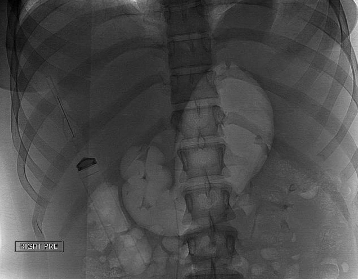 Nathan Ertel MD tweet media