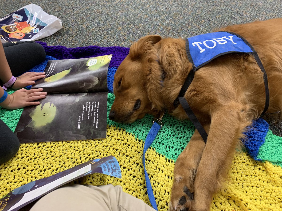 kimrich01's tweet photo. Toby visited the library and added quite a few books to his summer reading list this morning: 17 kids, 20 books, and the last 5 he might have heard with his eyes closed. #therapydog #readdog #SummerReadingChallenge @PetsMission #LibraryPromise https://t.co/YiNhP09MYD