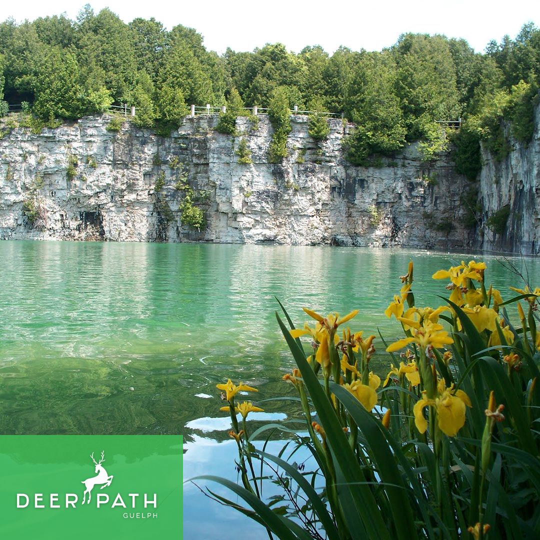 If you’re looking for a natural getaway near #DeerpathGuelph, The #EloraGorge is a spectacular outdoor attraction in the Grand River Valley. Framed by rocky hills, not only is this an amazing spot to swim, hike and bike, you can be adventurous and go tubing! #DeerpathGuelph ☀️