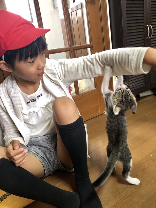 Twitterのコスプレ画像48