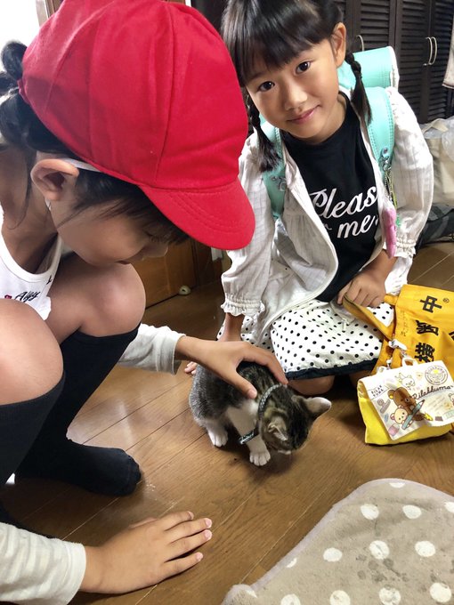 Twitterのコスプレ画像47