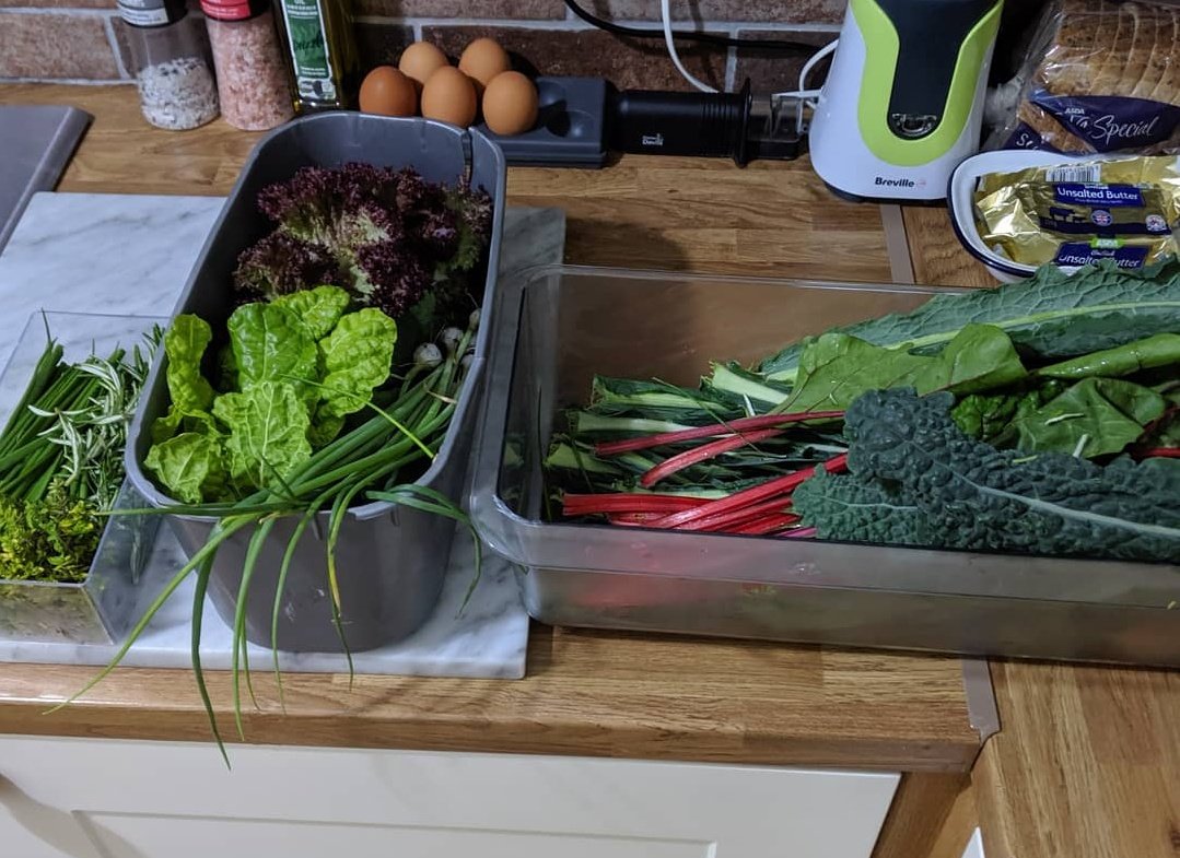 CogFarmsMCR's tweet photo. Harvest! Wash! Eat! Repeat! 😍loving this weekly harvesting #selfsustainable #MCR #cognitivefarmsmcr https://t.co/W6P3Nbw0WK