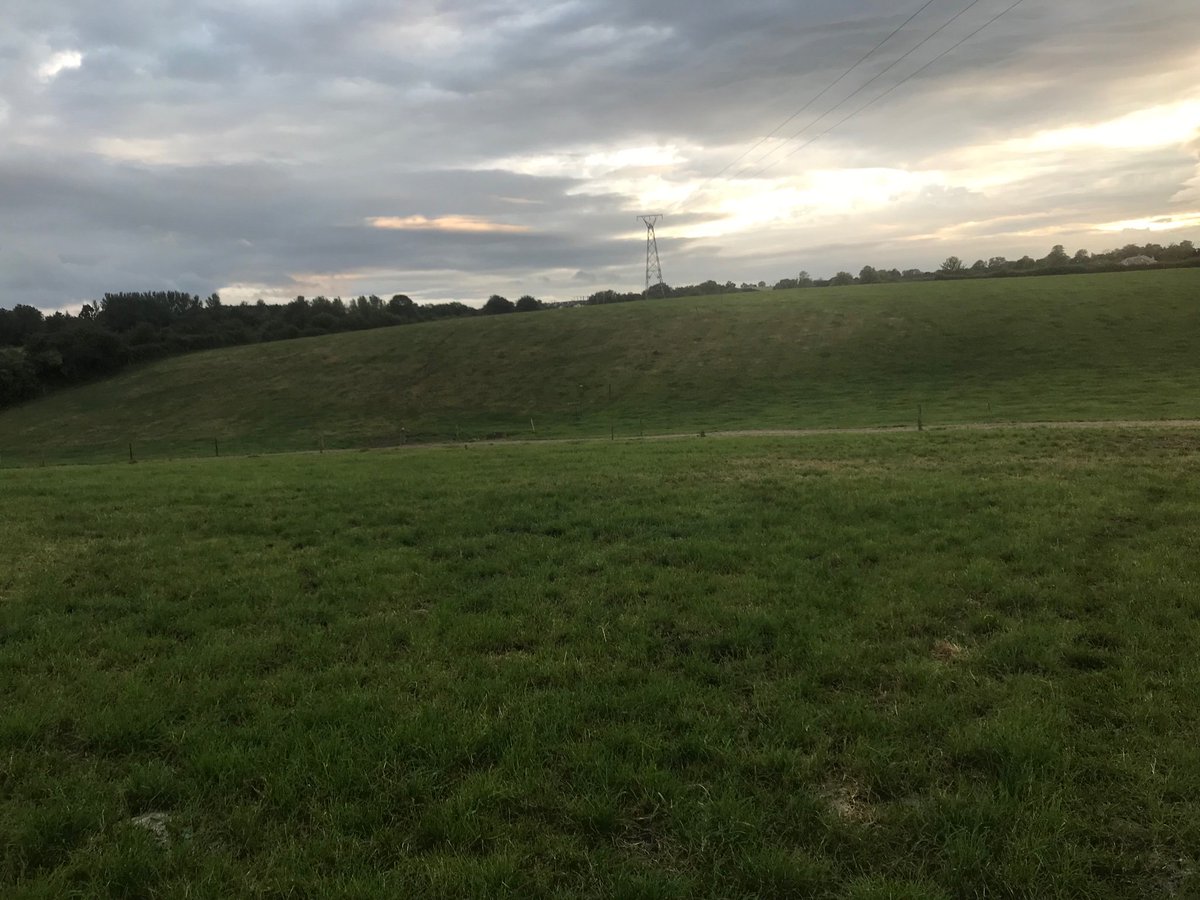 alexsheehan10's tweet photo. Grass growth back to 36 from 71 and 86 the previous weeks. 👆🏻conc and may have to graze some of the second cut before cutting towards the weekend if we don’t get more rain. 4ml today. #soilmoisturedeficit https://t.co/BmhSIJzmZP