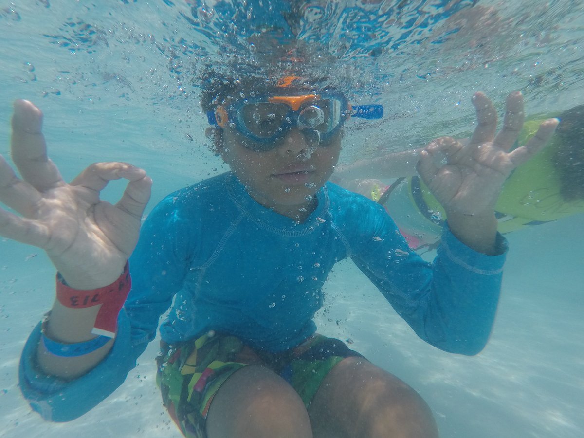 LISD_SDC's tweet photo. Bluebonnet pool day fun ☀️ https://t.co/lrgume96jX