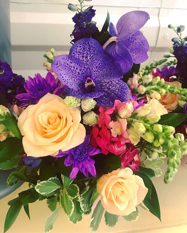 UFloriaFlowers's tweet image. My Five minute flower arrangements. When you have an urgent flower order to fulfil. 
What do you think? 
#ufloria #ufloriaflowers #lotsofcolours #floralarrangments #july #2019 ift.tt/2XGTHTK