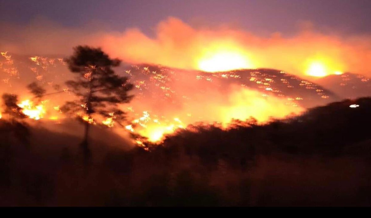 Elden hiçbir şey gelmiyor #göcek