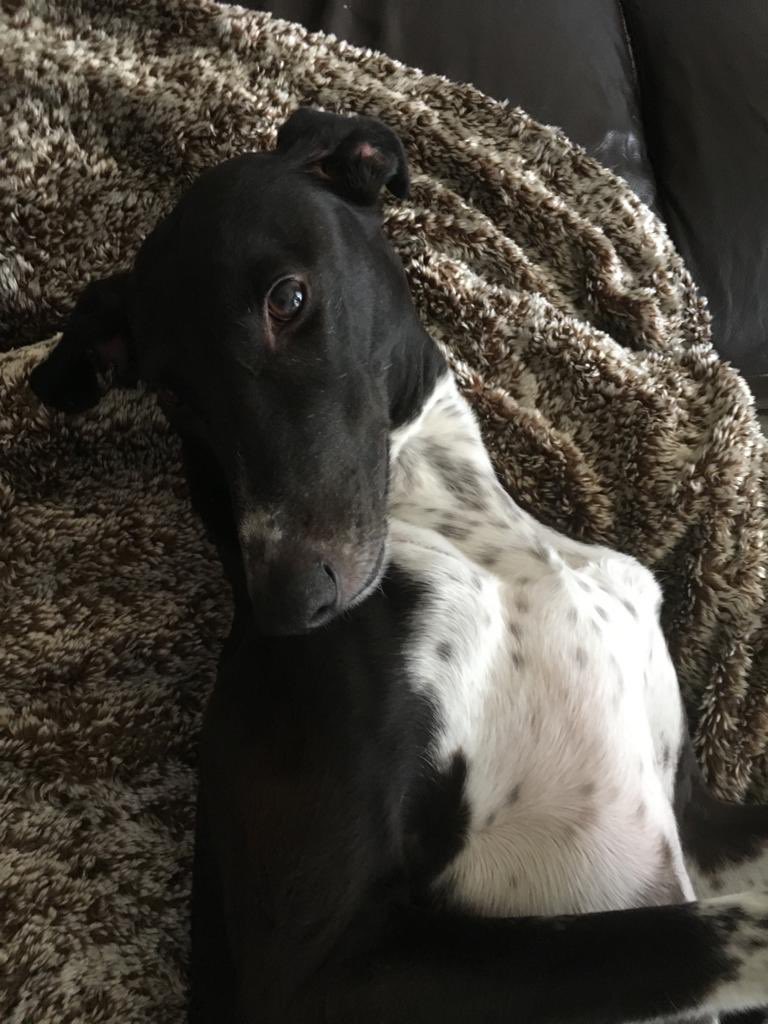 Joanne Buchanan tweet media