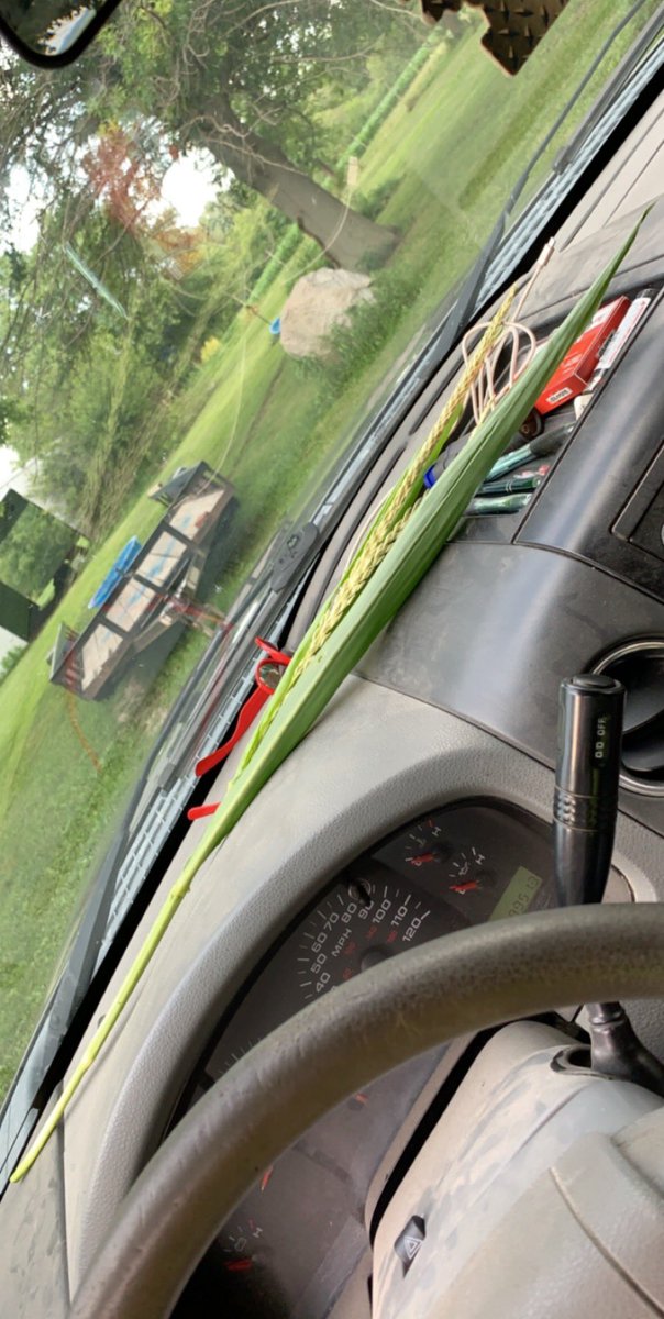 blaze_trimble's tweet image. The girls got a lesson on tasseling and pollination today! Not that they wanted it but they got it 😉 #AgTwitter #ILCorn #WeAreGettingSomewhere