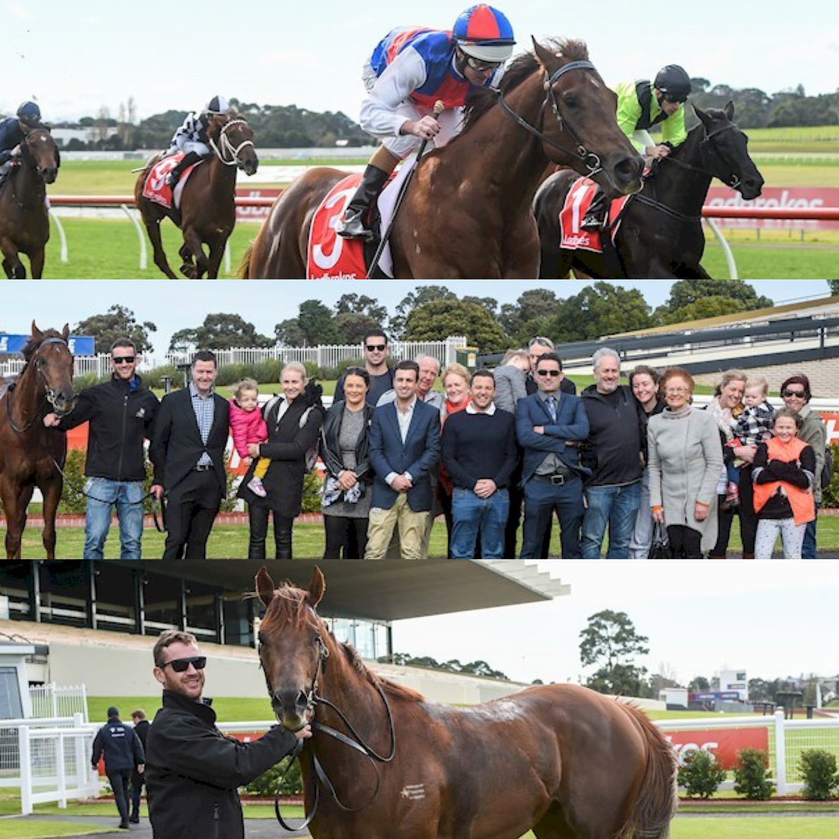 cara_kav's tweet photo. There’s nothing better than being on-course to cheer your horse home, followed by celebratory drinks in the #winnersroom 🥂 Thank you @melbourneracingclub and @gurujosh23 for a great day!! #ExcessFunds #Winner #KavanaghRacing #TeamKav https://t.co/79lJZ0Tc41