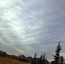 cosmiccon01's tweet image. EARTHQUAKES: REAL AND MAN-MADE cosmic-conspiracy.com/2019/07/earthq… #SecretTechnology #EarthChanges #SecretSpaceProgram