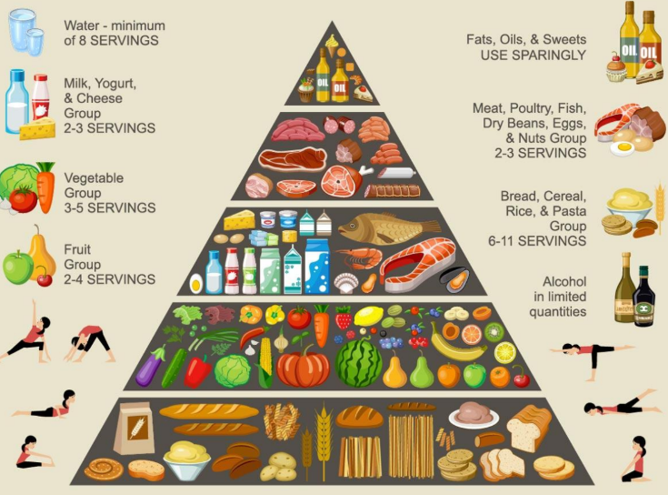 taheyuxg's tweet image. If you follow this food guide pyramid, you will enjoy a healthier and happier life😉.
#EmbryTech #StepToYourHealth