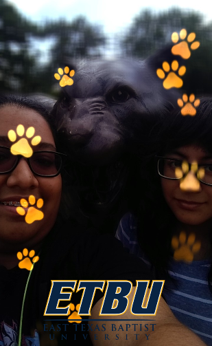 ItzelSa02891394's tweet image. @TSDCamp #TSDCampChallenge