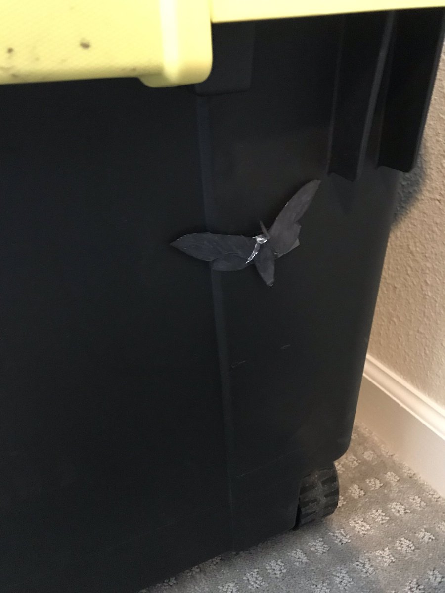 Kenneth Stoner tweet media