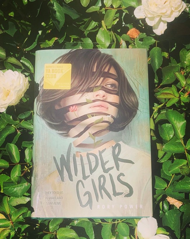 📚Young Adult Bookclub📚

Thursday, August 8th at 7pm we’ll be discussing the fantastic YA book “Wilder Girls” by @itsrorypower in all its twisty, atmospheric detail! Join us! 

#bookstagram #amreading #bookstagrammer #barnesandnoble #bnbuzz #bookclub #BNYABookClub