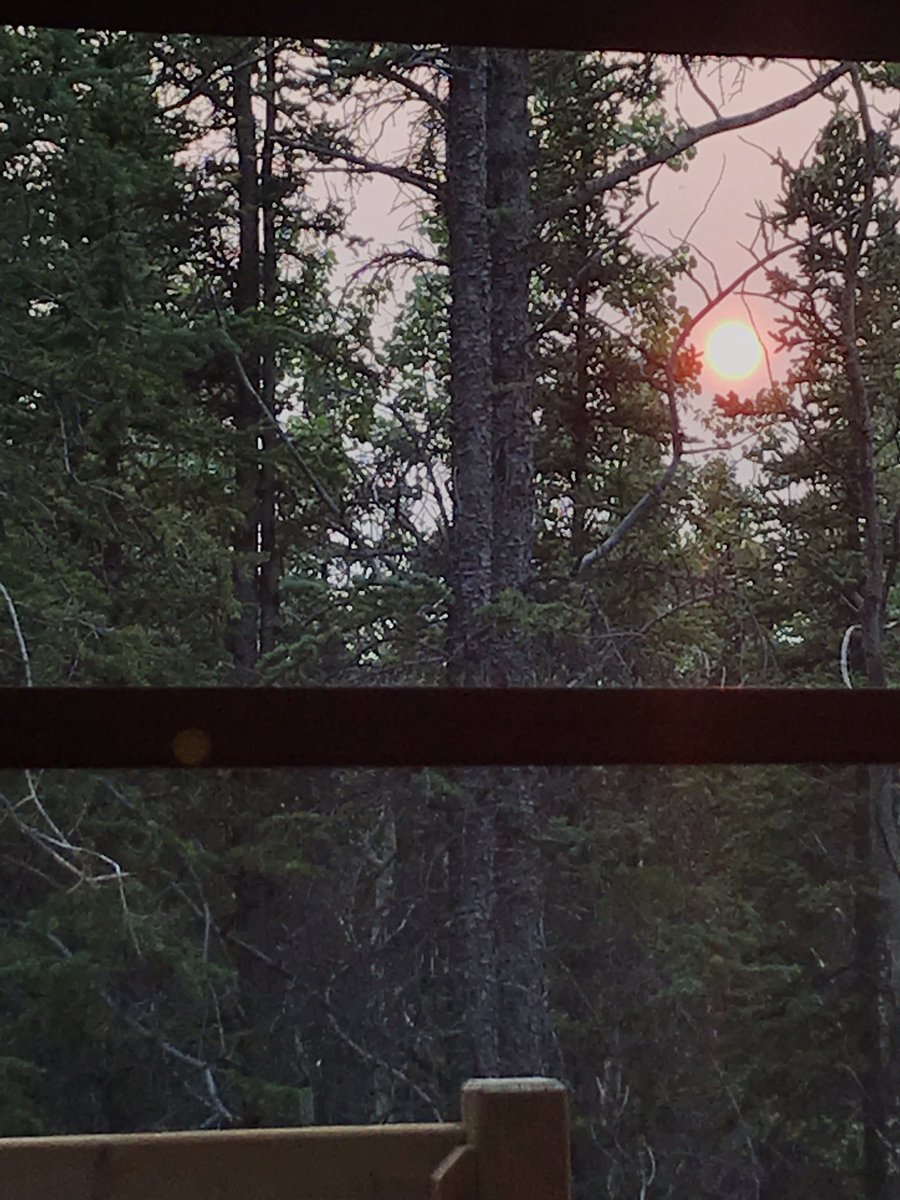 ironhen's tweet photo. View of the sun maybe starting to set at 9:45 pm from an oTENTIk at #KathleenLake in #kluaneNP #smokeyskies https://t.co/LxBzvlR5JE