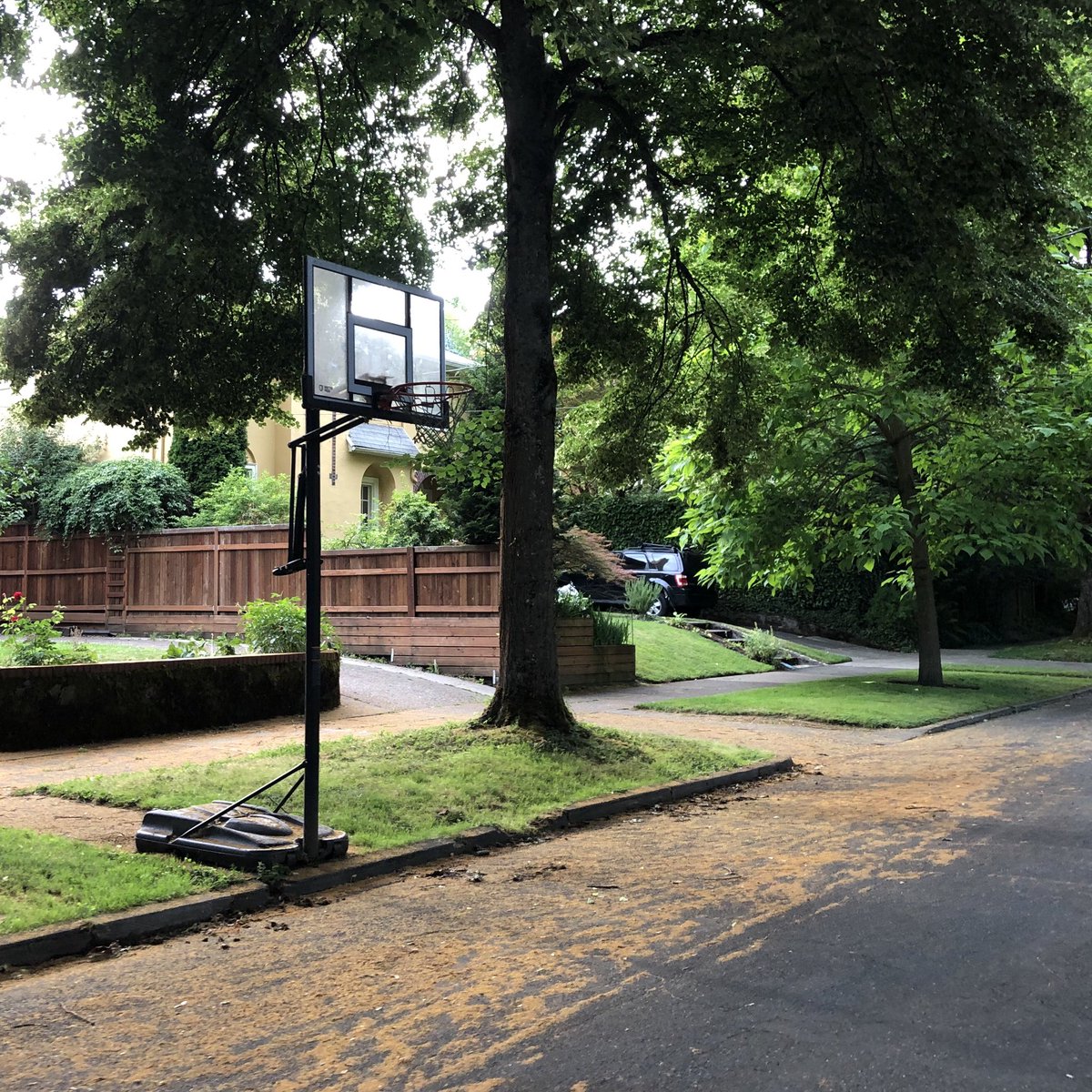 Qagggy's tweet photo. I would like to take a break from tweets about bikes and cheese to ponder a question about basketball hoops. Specifically, why are there so many on-street hoops in Portland? https://t.co/NEaW78atru