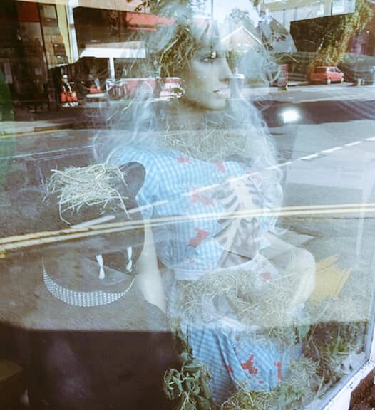 Scarecrow Safari 🌻🐝 tweet media
