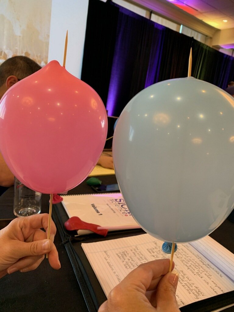 NHMSNash's tweet photo. #BestDayEver learning @SickScience today. Thanks @SteveSpangler...Can't wait for the new school year! https://t.co/Te7sstCafQ