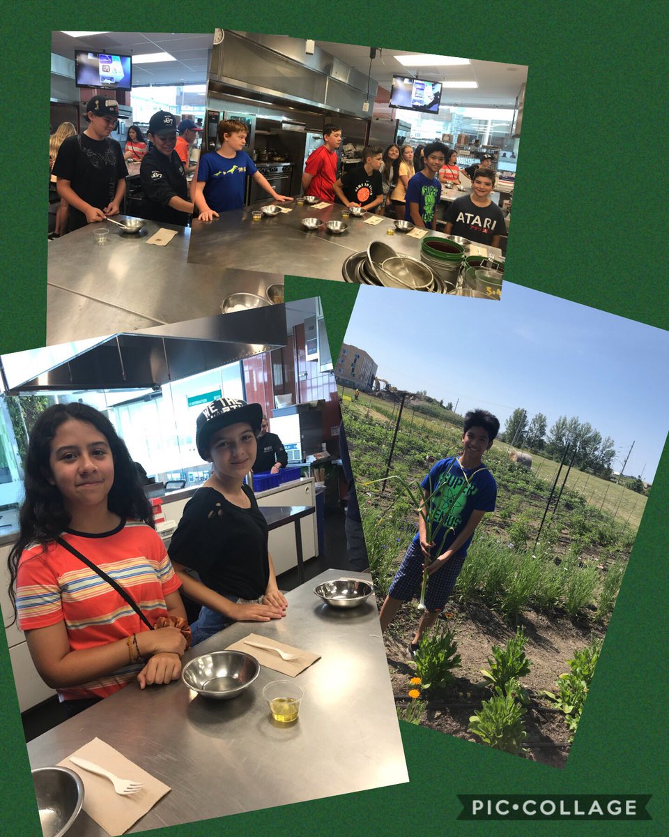 coughlan_kg's tweet photo. More learning at Durham College ‘the chemistry of food’🧪🥒🍅 @john_dietrichjo @HCDSBPathways @StPaul_CES https://t.co/gLZP8PZCuX